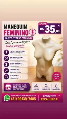 Manequim Feminino Busto/Torso para Loja e Vitrine - Ótimo Estado | R$ 35