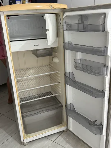 Geladeira funcionando direitinho, nada quebrado.