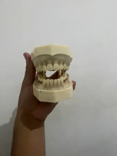 Vendo manequim odontológico 