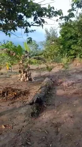 Terreno na Comunidade do Manairão