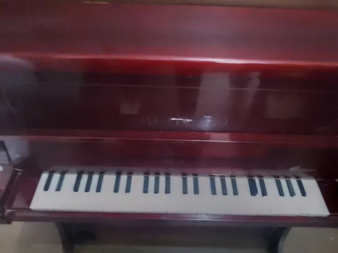 Piano Infantil