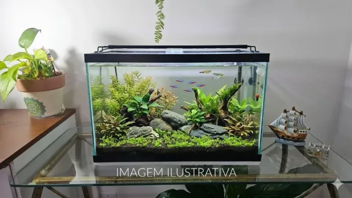 Aquario 20 litros vidro 4mm com medidas 40x20x25