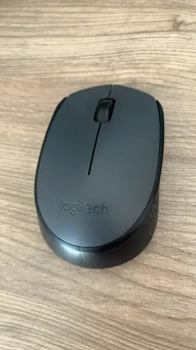 MOUSE USADO