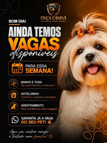 Banho e tosa