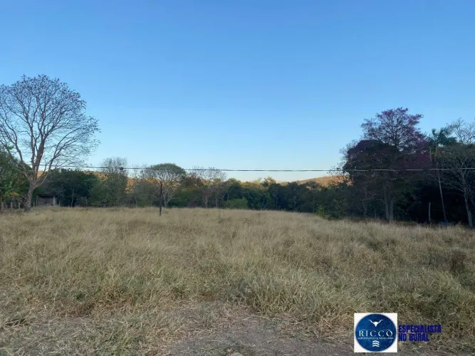 Chácara à Venda em Goiás  7,74 Alqueires  Rica em Água