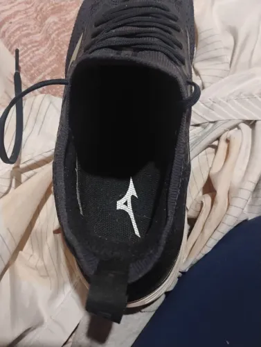 Tenis