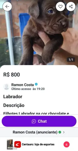 Golpe! Faz anúncio em sc e no Paraná 