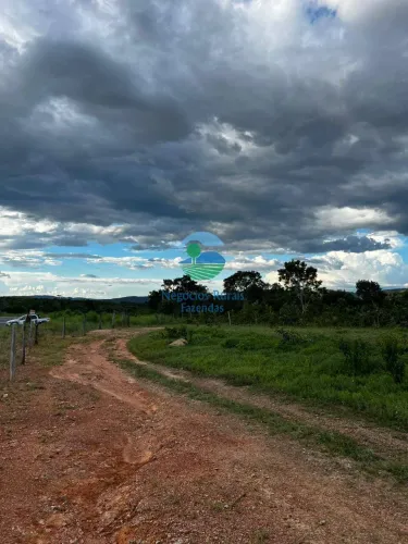 Fazenda 45 Alqueires ou 217 Hectares Minaçu -GO