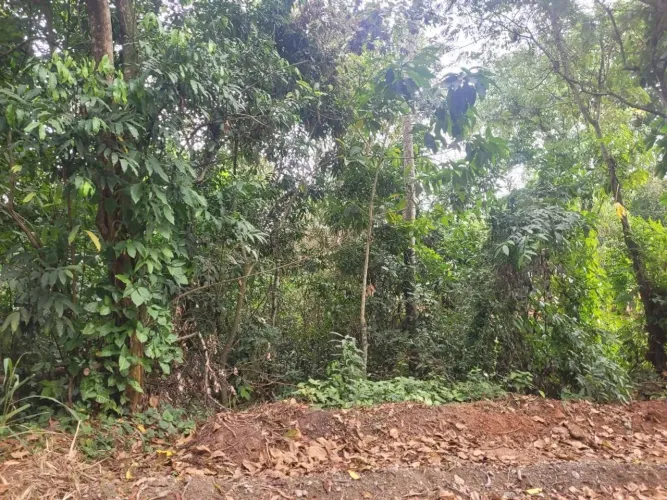 Terreno à venda, 390 m² por R$ 110.000,00 - Jacaroá - Maricá/RJ