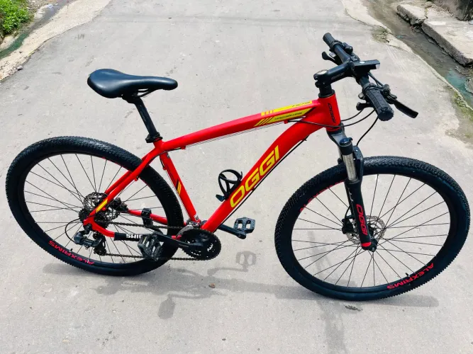 Bicicleta Oggy