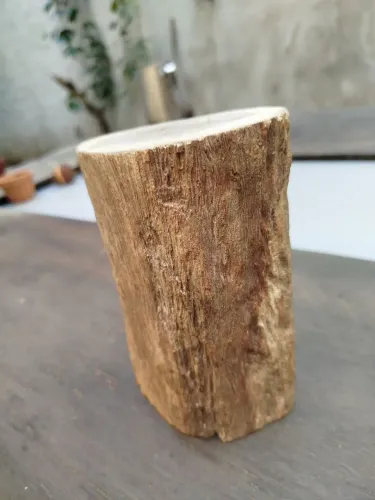 Madeiras Petrificadas