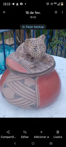 Pote arte indígena
