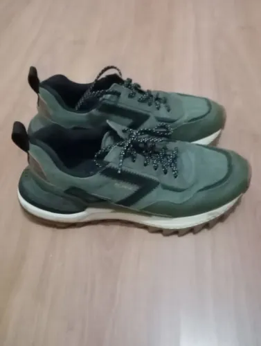 Tenis
