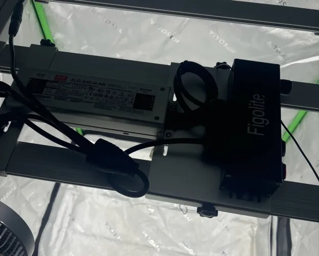 Quantum Bar 240w FigoLite