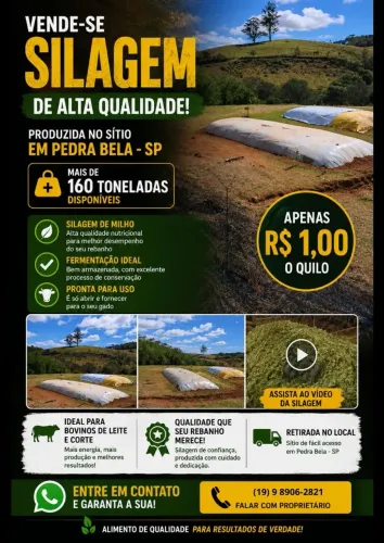 Silagem de Milho Premium - Mais de 160 Toneladas Disponíveis - Pedra Bela/SP