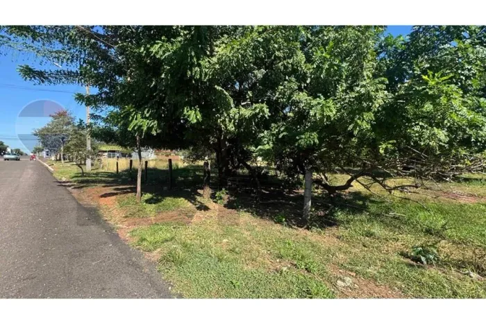 Terreno Ideal para Investir em Pedra Preta, MT