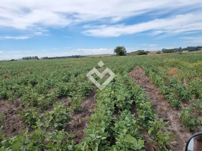 Área rural à venda 43 hectares