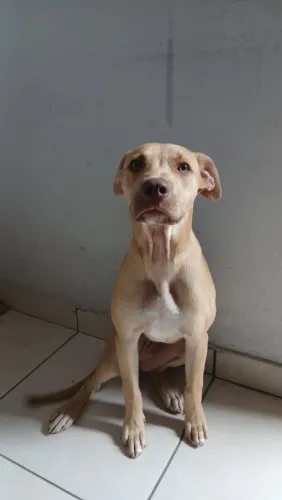 Doação