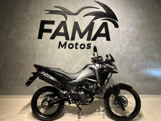 HONDA SAHARA 300 ABS FLEX 2025 Flex