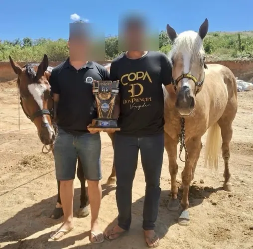 Cavalo de Vaquejada Pontuado na ABQM