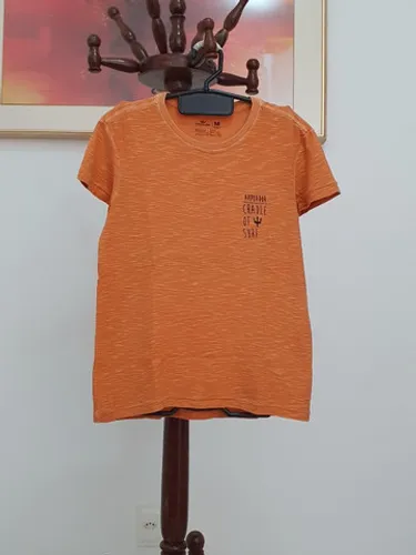 Camiseta em Malha Flamê Osklen Original Nova - Arpoador Tridente
