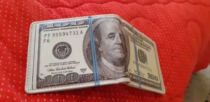Carteira nota de dólar 