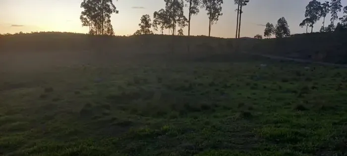 Terreno 30 Hectares