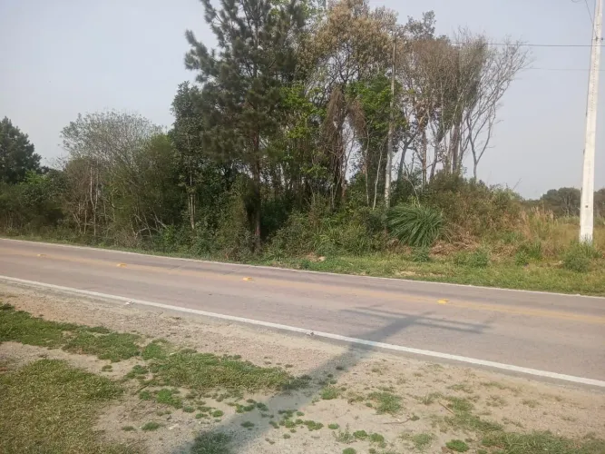 Chácara em Mandirituba em frente BR