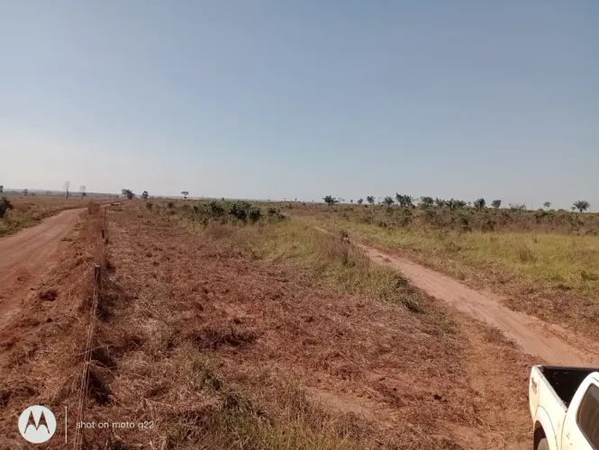 Fazenda 580 hect em Brasnorte MT. 500 aberto 15 milhões