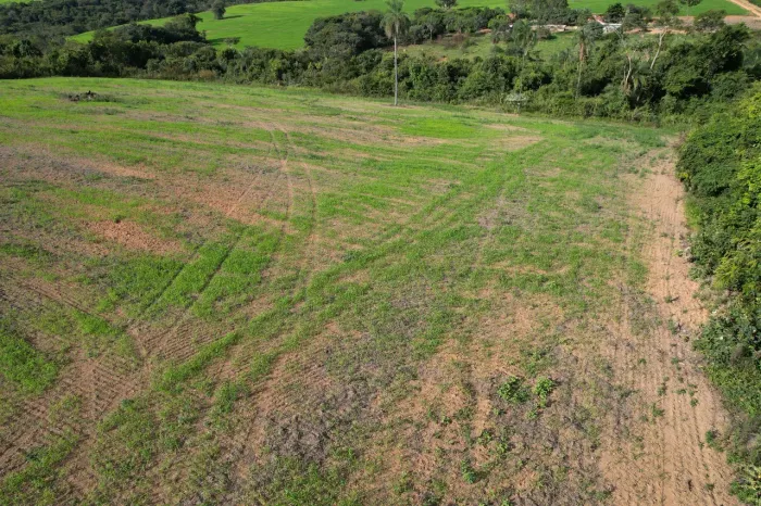 FAZENDA COM 42HEC PRA PLANTAR CAFE, REGIÃO PRODUTIVA!!