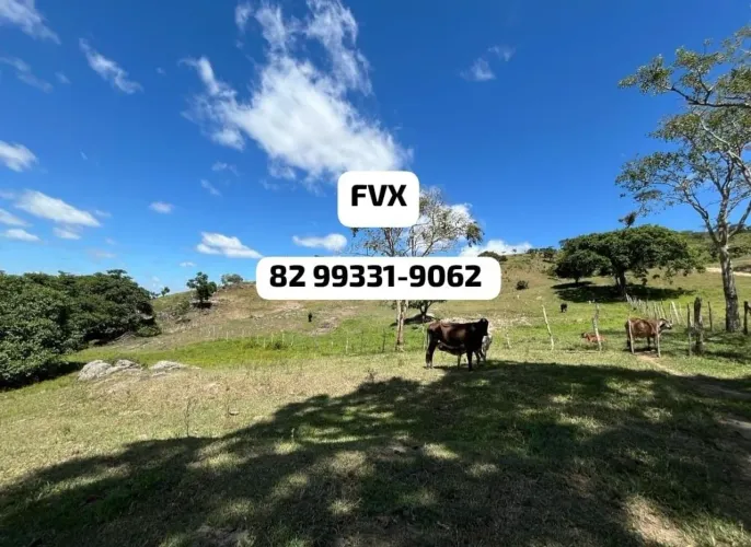 99 Tarefas R$ 1.500,000 na Estrada Que dá Acessa à  Mar  Vermelho 