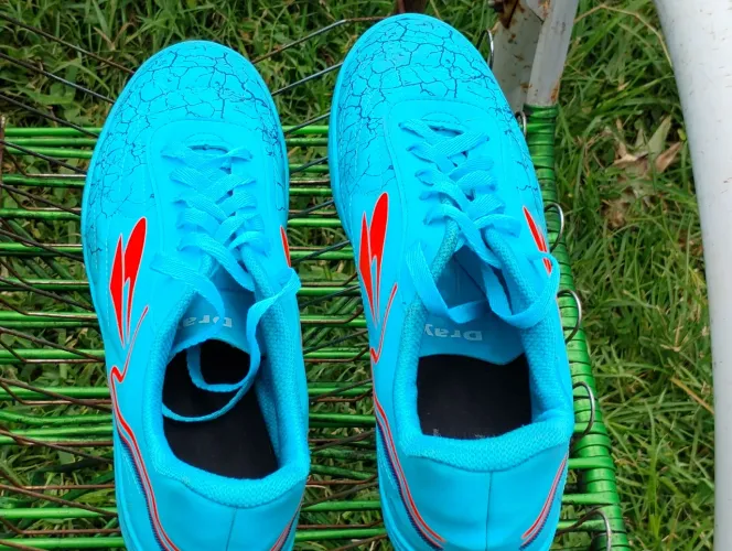 "Society Dray Azul Neon Tamanho 43<br>