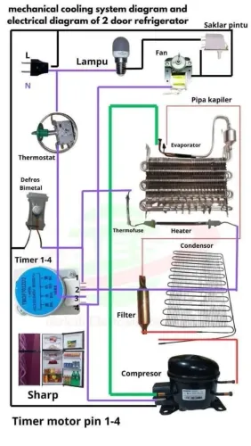 Técnico 
