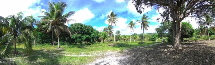 Fazenda/Sítio/Chácara para venda com 1900000 metros quadrados em Sítio do Conde - Conde - 
