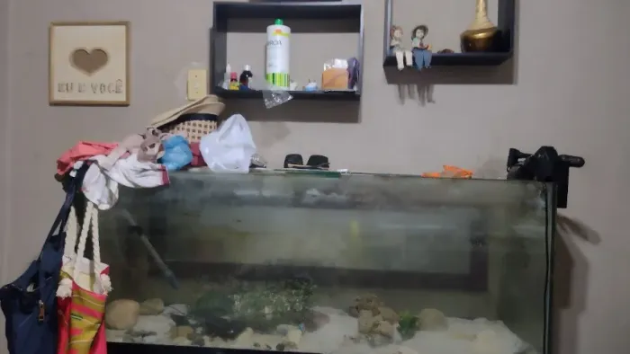 Aquário grande com suporte de ferro 1,50m