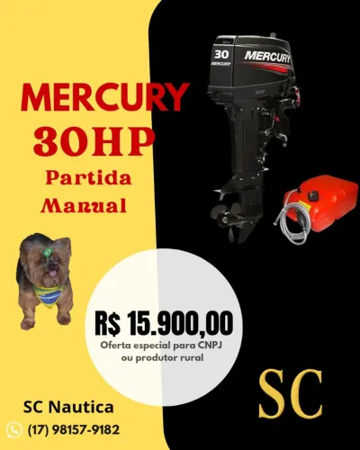 Motor de popa Mercury 30HP zerooo