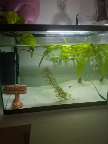 Filtro aquário aquatank