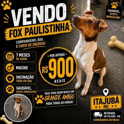 Vendo 900 aceito proposta