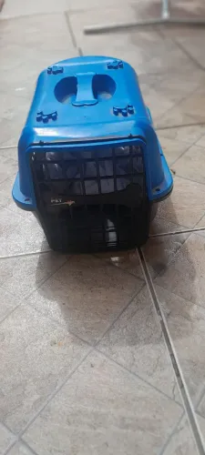 Casinha de cachorro