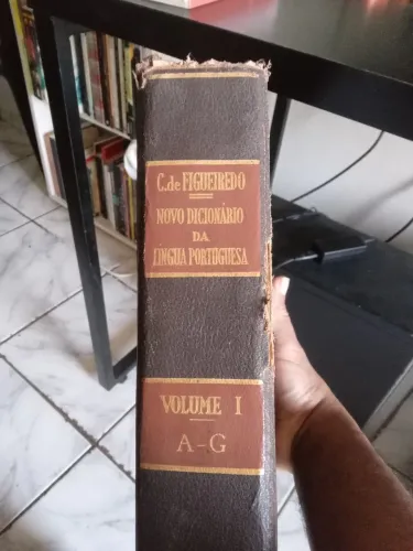 Novo dicionário da língua portuguesa 2 vol.