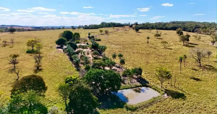 Fazenda em Cezarina - GO - 17 Alqueires