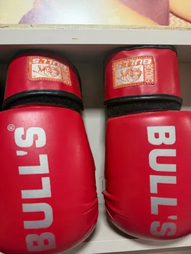 Luvas de muaythay 12oz