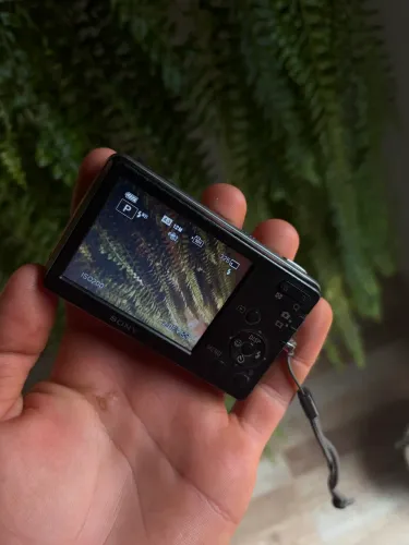 Sony cybershot 12.1