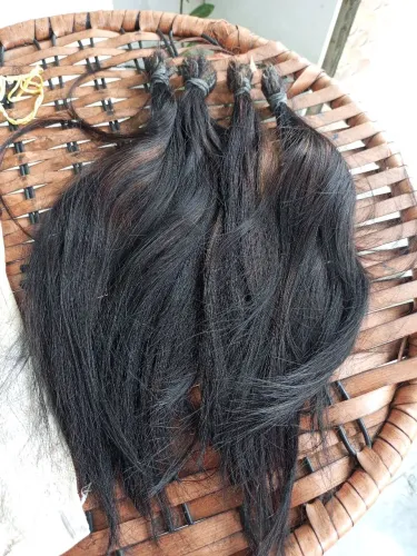 Cabelo humano médio já com aplicação 350