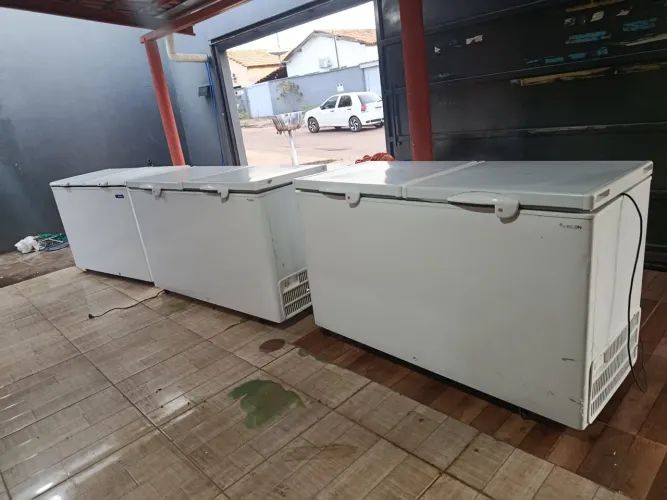 3 freezer novos zap *