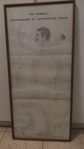 As Mais Novas Ilustrações dos Pontos de Acupuntura