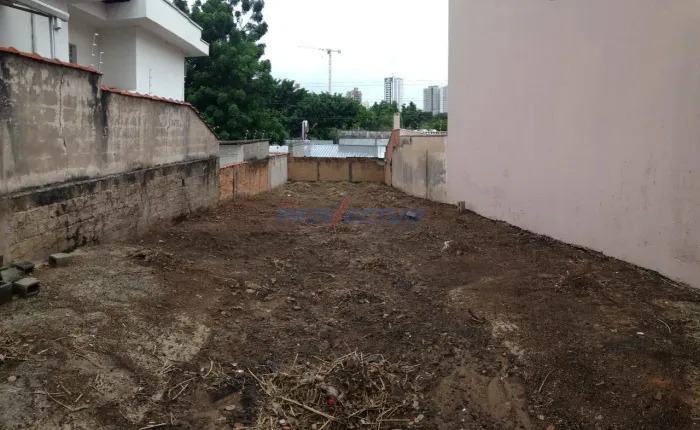 terreno - Cambuí - Campinas