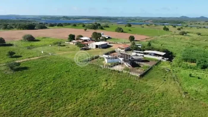 Fazenda em Poço Branco 239 ha