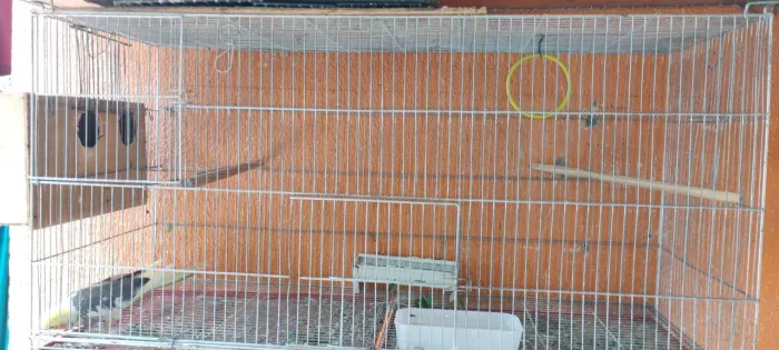 Gaiolas Grandes para Aves 