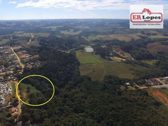 Área à venda, 35733 m² por R$ 790.000,00 - Centro - Quitandinha/PR